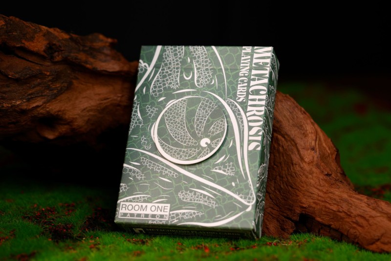 WhatsApp Image 2024-09-12 at 13.51.24.jpeg