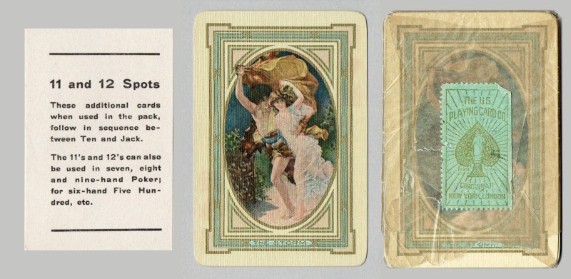 11 and 12 spots Leaflet Back and Packet 2324x.jpg